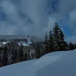 Деревянный коттедж Hillside