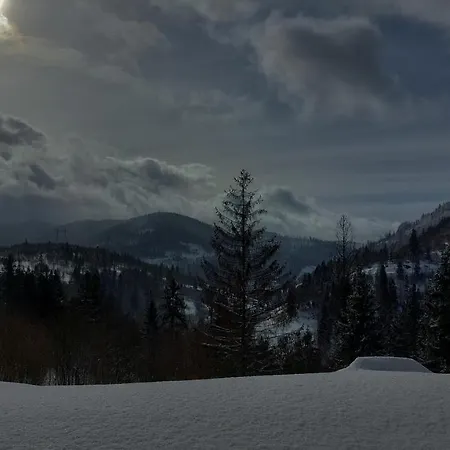 Hillside 山林小屋