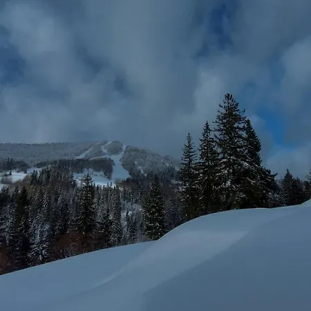 Дерев'яний котедж Hillside