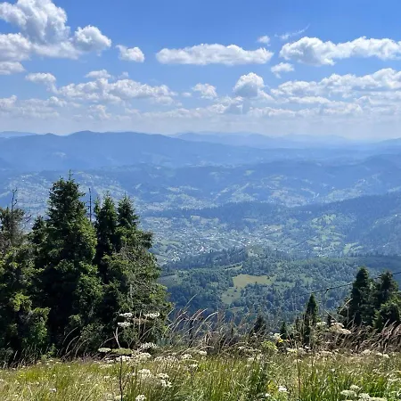 Hillside Дерев'яний котедж *