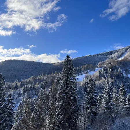 Hillside * Славське