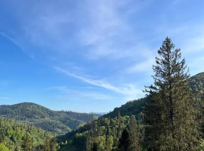 Hillside *