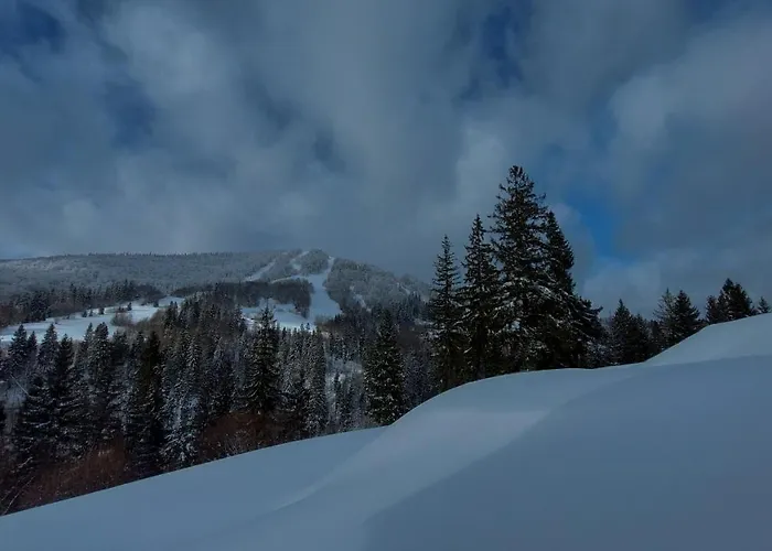Lodge Hillside