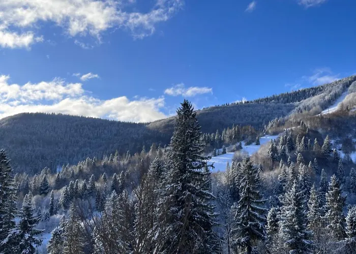 Hillside * Slavske