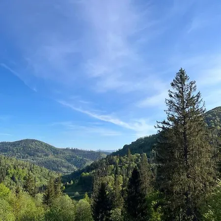 Hillside *